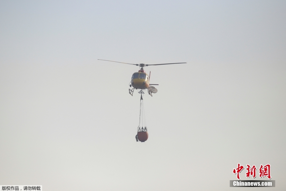 Incêndios florestais deixam 46 mortos e rasto de destruição em região turística do Chile